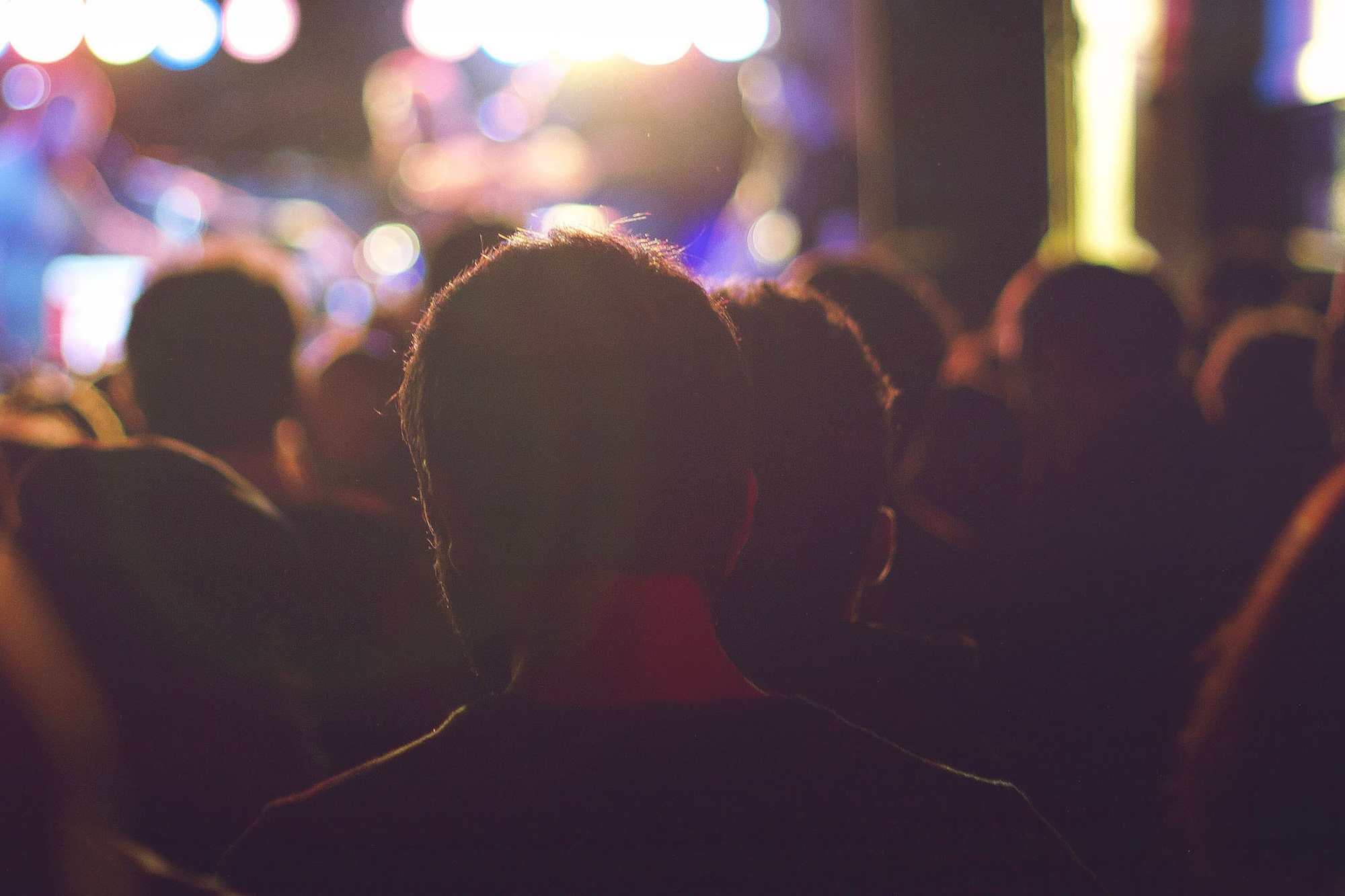 Crowd in Concert